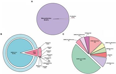 Beyond SARS-CoV-2: epidemiological surveillance of respiratory viruses in Jalisco, Mexico